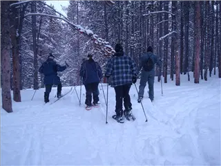 small_Breck2008 095.webp